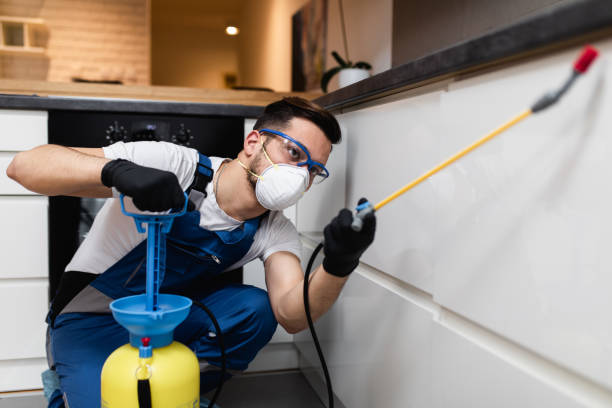 Best Pest Removal Services  in Grants, NM