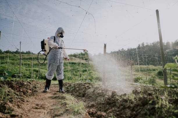 Best Commercial Pest Control Services  in Grants, NM