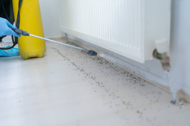Pest Prevention Services in Grants, NM
